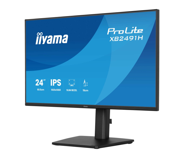 iiyama ProLite XB2491H-B1 - 1518006 - zdjęcie 3